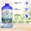 Silver Holistics Real Colloidal Silver Water Liquid Supplement - 16