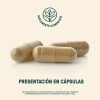 Melena De León Mushrooms Life 360+ 180 Cápsulas A Base