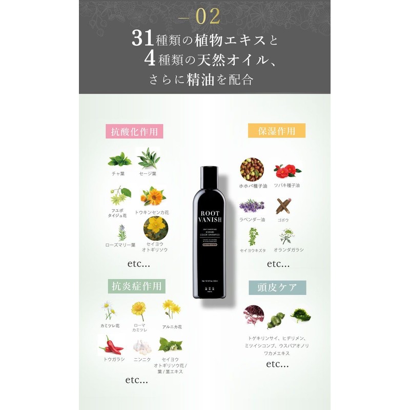 Kimi Kazumi Hair Dye Shampoo Dark Brown 2-Piece Set Color