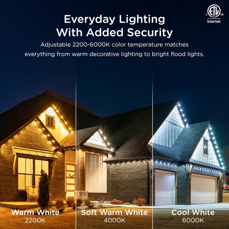 Enbrighten Vibe Eternity Permanent Outdoor Lights Extension Only, 16.5ft with