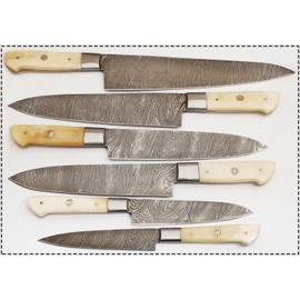 Professional Kitchen Knives Custom Made Damascus Steel 5 pcs of Professional Utility Japanese Chef Kitchen Knife Set with Pocket Case Chef Knife Roll Bag by Wilson Roy/KG21