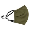 Briefing BRG211F55 Mask with Mask Case, Antibacterial, Odor Resistant, Hand