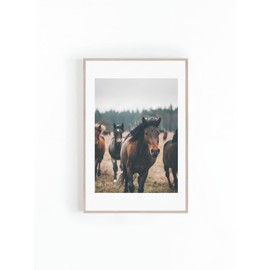 Photo Of Wild Horses Running Ranch Home Decor And Cowboy Photos Wildlife Large Posters Print Instant