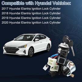 81905-F2230 Ignition Lock Switch Assembly with 2 Keys for 2017-2020 Hyundai Elantra Lock Cylinder Switch, Replaces 81905F2230 81905 F2230 Ignition Switch Kits