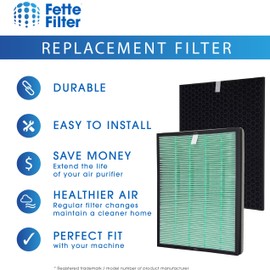 Fette Filter - Air Purifier Replacement Set Compatible with BioGS 2.0 Filter Kit for Model SPA-550A and SPA-625A Contains 1 Hepa Filter & 1 Carbon Filter