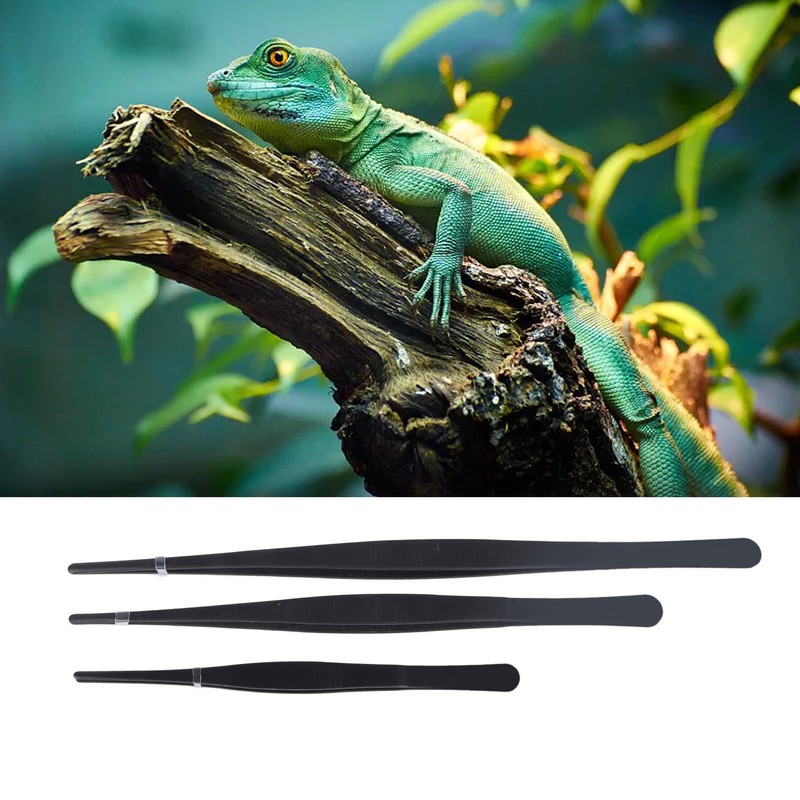 Reptile Feeding Tongs Prevent Slip Stainless Steel Thickened Reptile Feeding