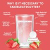 Venture Pal Electrolitos En Polvo Sugar Free 16 Sobres Keto