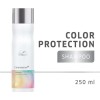 Shampoo Wella Professionals Color Motion 250 Ml