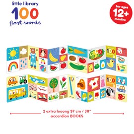 Little Library 100 First Words 12m+ Baby Books Set