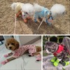 4PCS Small Dog Shoes, Breathable Mesh Boots,Summer Breathable Dog Boots