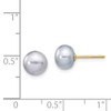 14K Yellow Gold 7-8mm Grey Button FW Cultured Pearl Stud