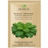 Dwarf Siberian Kale Seeds