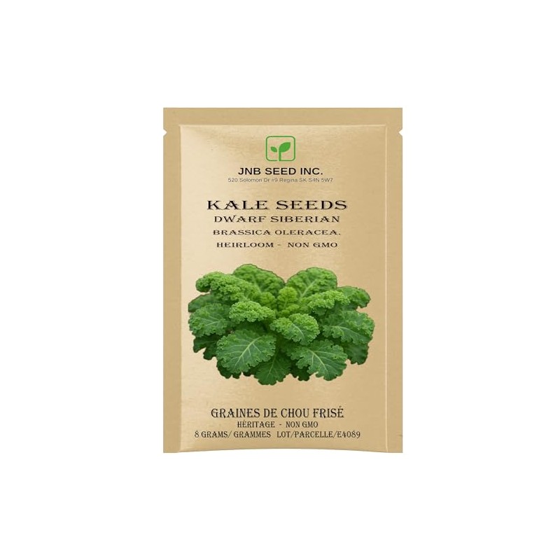 Dwarf Siberian Kale Seeds