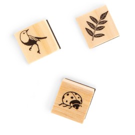 Bugs & Flowers Wood Stamp Set by Recollections - Woods Stamps for Stationary, Scrapbooking, School Projects, Arts & Crafts - 1 Pack