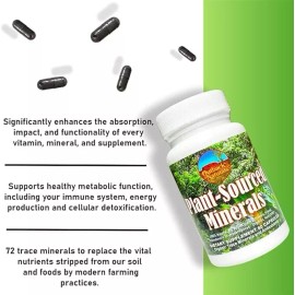 Outback Naturals Plant-Sourced Minerals 60 ct (Organic Trace Minerals and Antioxidants)