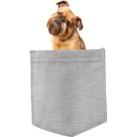 Brussels Griffon Dog in Pocket Car Bumper Magnet, Magnetic for Refrigerator, Decorative Fridge, Office, Whiteboard, Kitchen, Locker Waterproof Decor, Family & Friends, 4x7 in