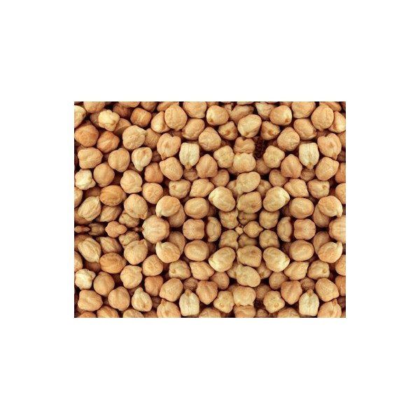 Dried Garbanzo Beans - 25 lb. Bag (Chick Peas)