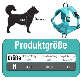 Dog Harness, Dog Harness, Rope Length 150 cm, 1 Dog Brush, Lightweight and Breathable Chest Harness with Handle, Ideal for Small Dogs and Puppies, Includes Durable Dog Brush (Blue M)