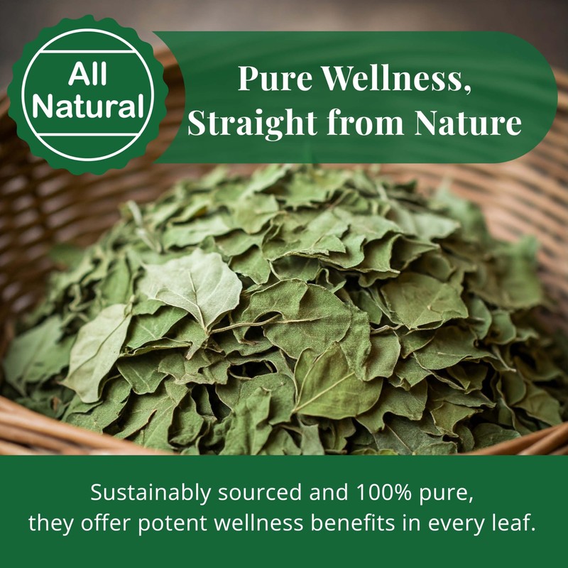 Moringa Leaves-2.6oz, Dried From Fresh Green Moringa Oleifera Leaves, Hojas
