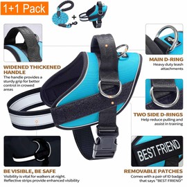 Haapaw Essential Dog Harness, No Pull Pet Vest with 3 Leash Clips, No Choke, Reflective, Adjustable and Padded, for Easy Walking and Training for Large Dogs(XL, Blue)