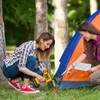 Pack of 10 Heavy Duty Tent Stakes Camping Stakes, 20