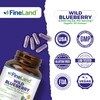 FineLand Wild Blueberry 10:1 Extract, 6,000 mg Strength, 120 Vegan