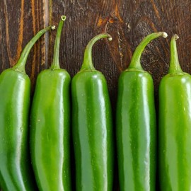 TomorrowSeeds - Serrano Pepper Seeds - 100+ Count - for 2025 Planting 23,000 Scoville Mexican Verde Green Chili Hot Spicy Chile Jalapeno Peppers Vegetable Grow Your Own Home Farm Patio Healthy