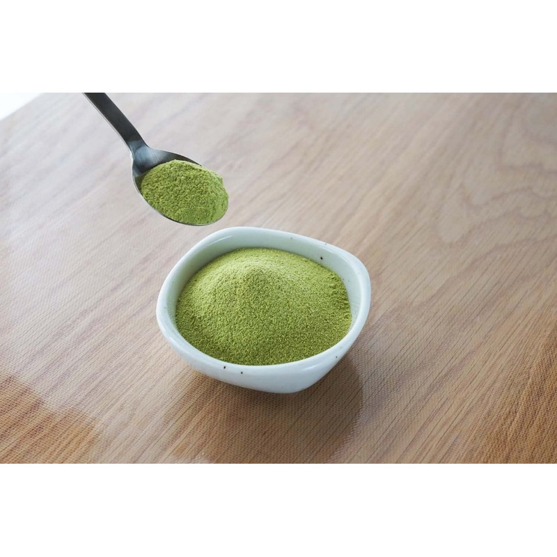 FINE JAPAN Yuto Arisa Seriously Made Protein Matcha Flavor 351g