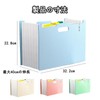 Document File, A4, 13 Pockets, Large Capacity, Thick Foam PP,
