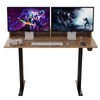 Our Modern Space 2-Tier Height Adjustable 45" Electric Standing Desk