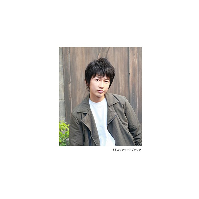 Priscilla MAN All Wig, Stylish Short, MA-100, Heat Resistant, AB,