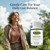 Paratoxil - Psyllium Husk Fiber Capsules for Gut Cleanse -