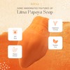 No Brand LITNA Papaya Soap Whitening 90g.