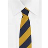Jacob Alexander Boys' 1-Inch College Stripe Woven 14" Pre-Tied Zipper