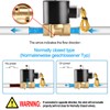 Heschen Brass Solenoid Valve 2W-040-10 Direct Acting 12VDC PT3/8 Normally