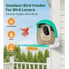 Bird Feeder with Camera | AI Recognition, Solar-Charged Video Bird