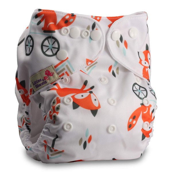 Littles & Bloomz, Reusable Pocket Cloth Nappy, Fastener: Popper, Set