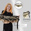 TRIMODI Women's Belly Dance Hip Scarves Performing Glittering Sequined Coins