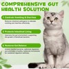 3-in-1 Probiotics for Cats with Digestive Enzymes & Prebiotics –