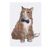 'Fancy Bow Tie Cat' Temporary Tattoo - Water Resistant, Skin-Safe,