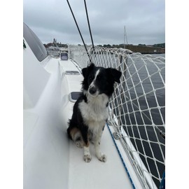 Boat or Railing Safety Netting for Lifeline, Bannister, Bunk Beds, Etc. | Keep Kids and Pets Safe (30')