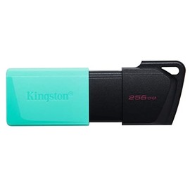 Kingston USB Data Traveler Exodia M, Capacidad: 256GB, USB 3.2 Gen 1 (DTXM/256GB)