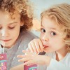 Gefen Fruit Punch Juice Box Drinks with Straw (27 Pack)