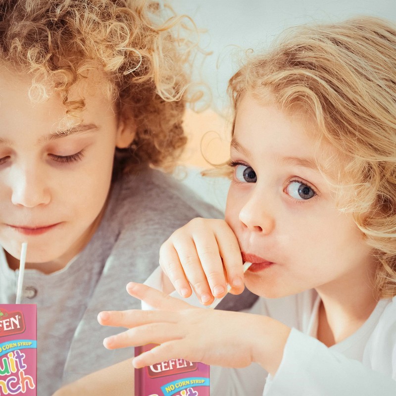 Gefen Fruit Punch Juice Box Drinks with Straw (27 Pack)