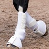 Masta Air-Flux Support Horse Boots - Schooling Training Neoprene Wrap