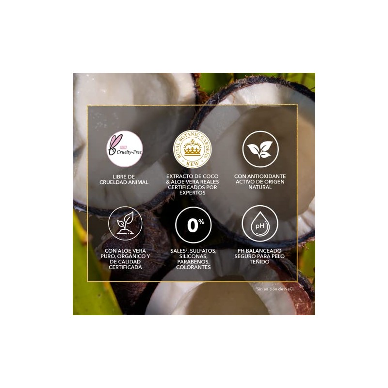Herbal Essences Aqua Oil Bio:Renew Aloe & Extracto de Coco