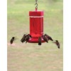 First Nature 3055 32-Ounce Hummingbird Feeder (Set of 3)3