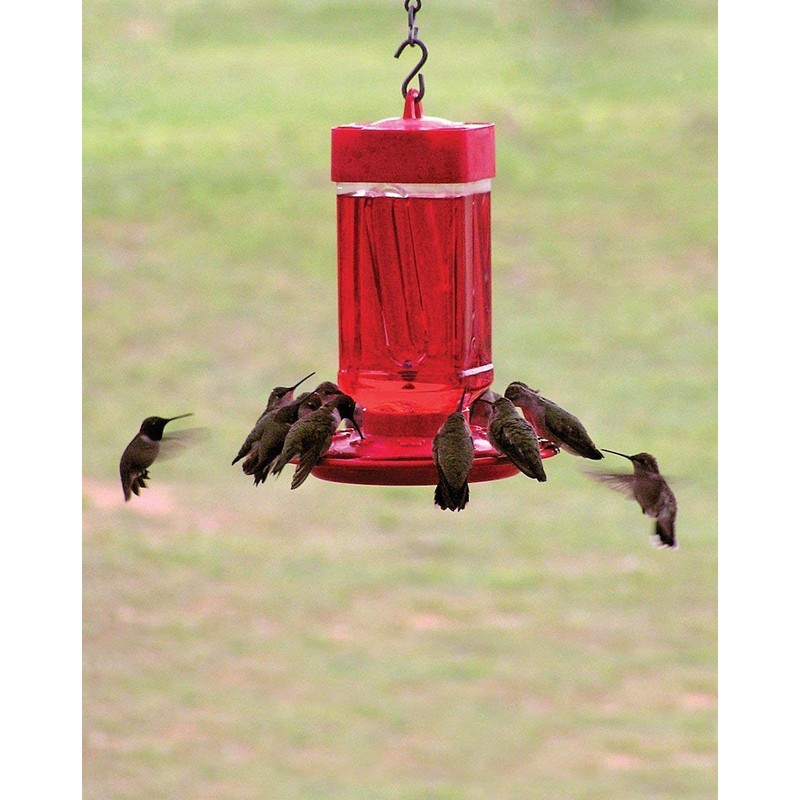 First Nature 3055 32-Ounce Hummingbird Feeder (Set of 3)3