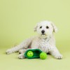Fringe Studio "WE Come in PEAS Latex Dog Toy, Pet
