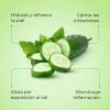 Skin Sense Mascarilla Facial Coreana De Tela Pepino